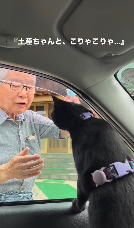 車から身を乗り出す猫と見送るおじいちゃん
