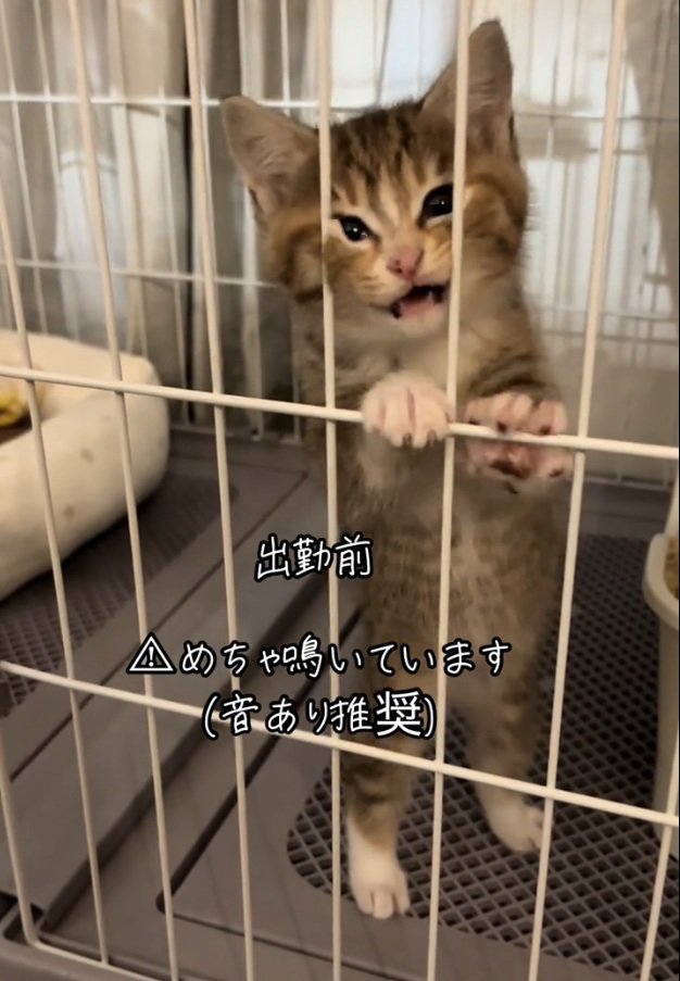 立って引き留めるにこりちゃん