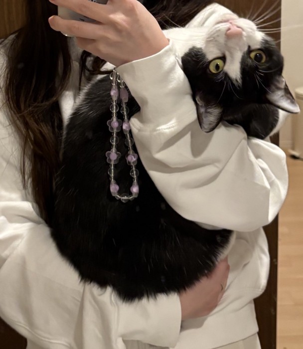 赤ちゃんみたいに抱っこされる猫