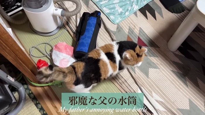 邪魔な父の水筒