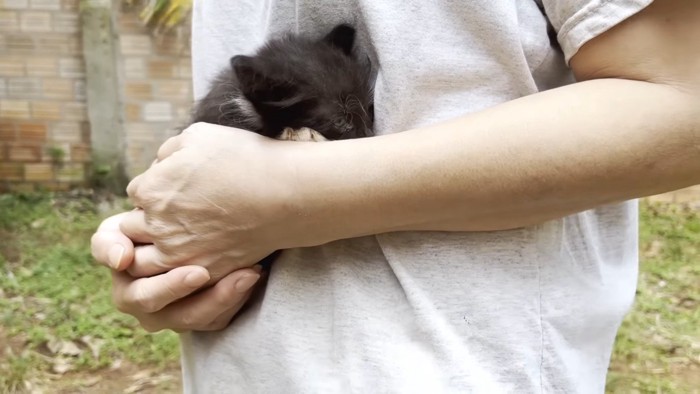 身を寄せる子猫