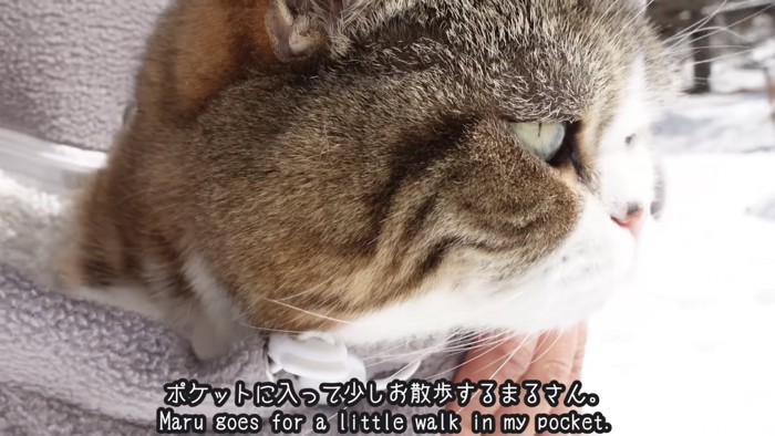 「ポケットに入って...」のテロップ写真