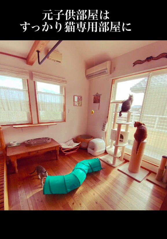 猫部屋