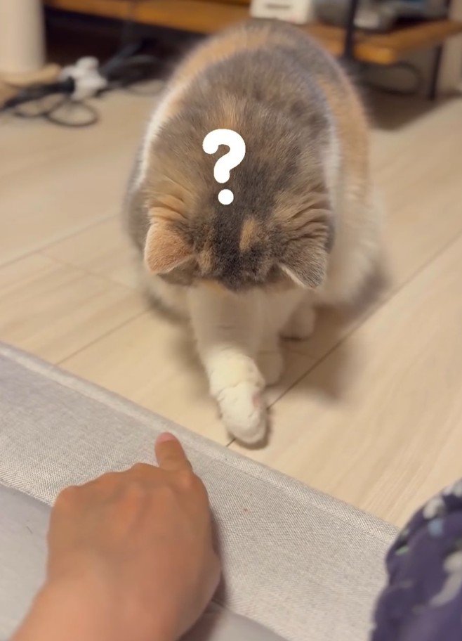 「?」と書かれた写真