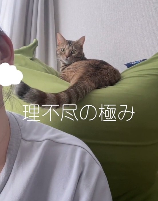 顔を叩くエーデルちゃん