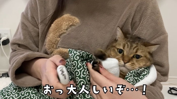 「おっ大人しいぞ…!」