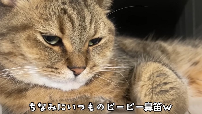 いつものピーピー鼻笛