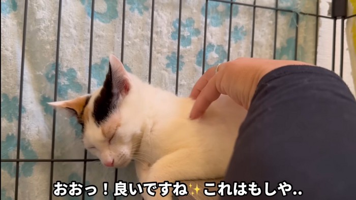 テロップ「おおっ！」