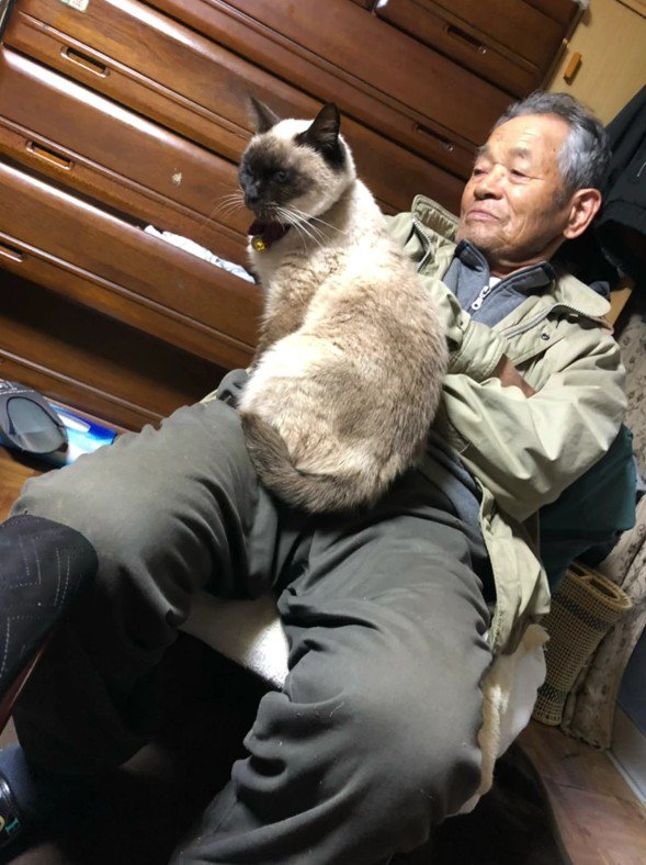 猫を抱っこしたおじいちゃん
