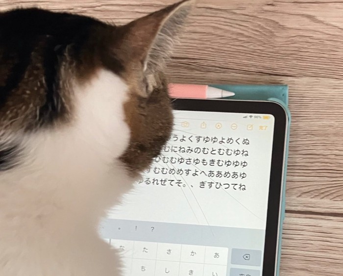 タブレットを使う猫