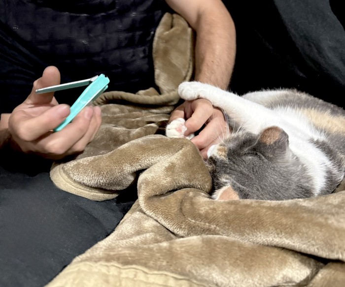 爪を切るむぎちゃん