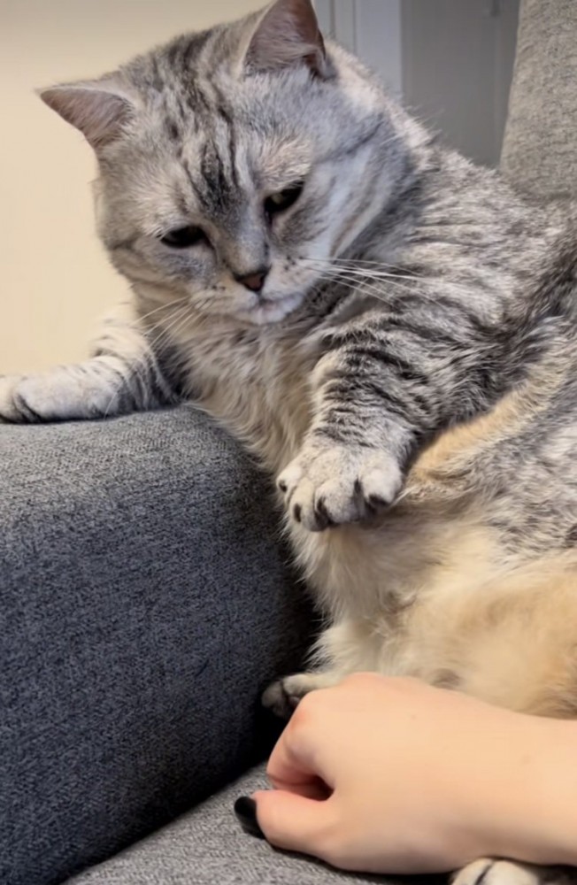 ママに向かってパーするジェネッタ