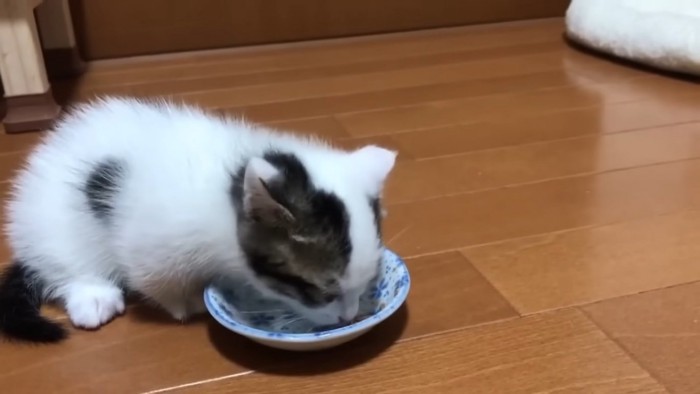 完食