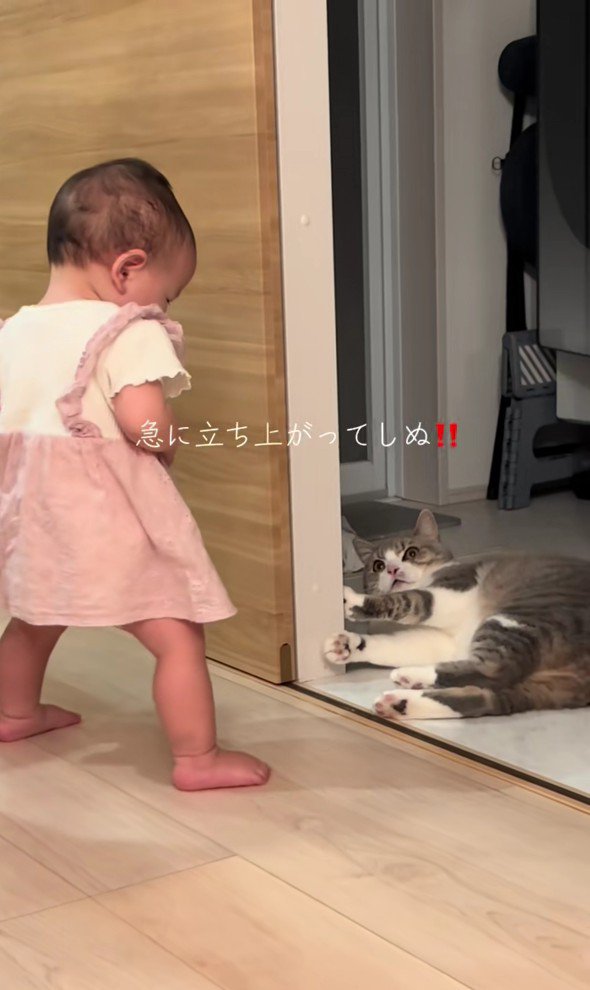 立ち上がる猫と見ている赤ちゃん