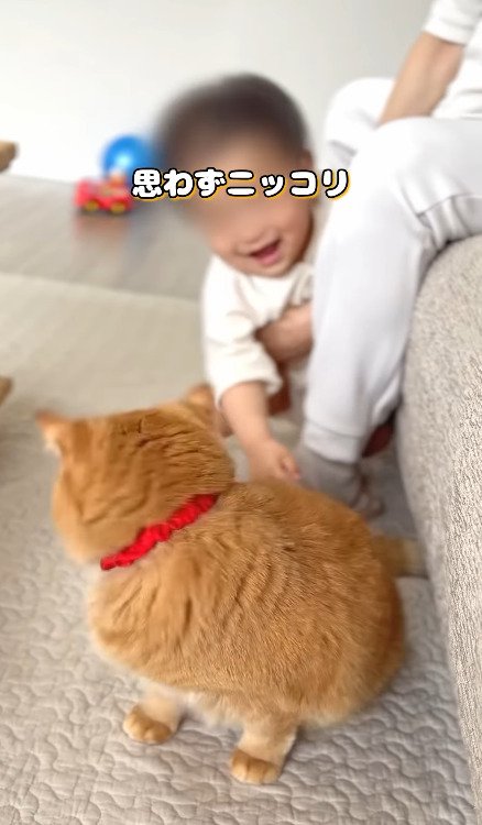 にっこり笑う赤ちゃんをみる猫