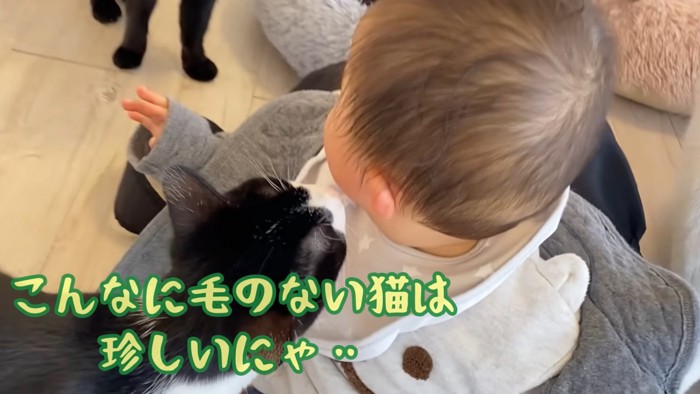 テロップ「こんなに毛のない～」