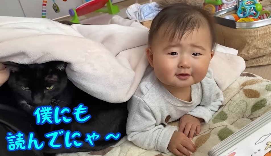 毛布をかぶってカメラ目線の赤ちゃんと猫（僕にも読んでにゃ～）