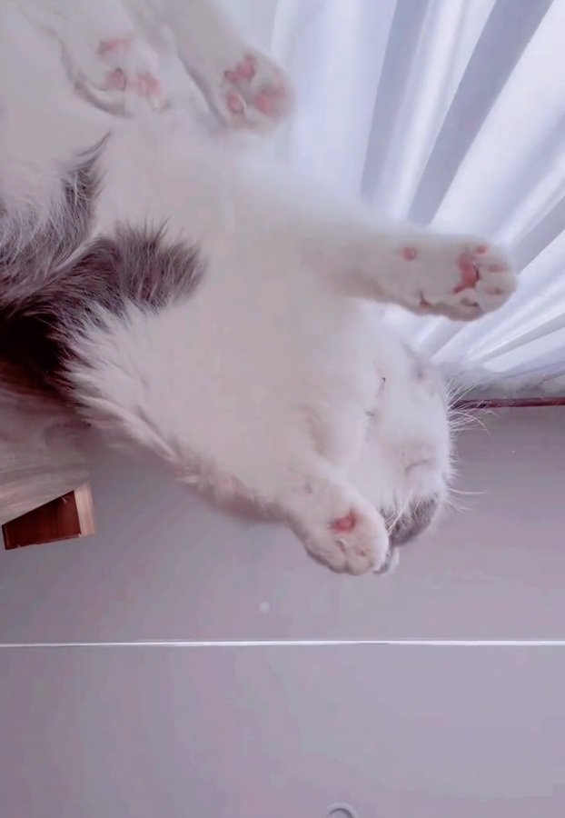 体勢を変えるなぎくん