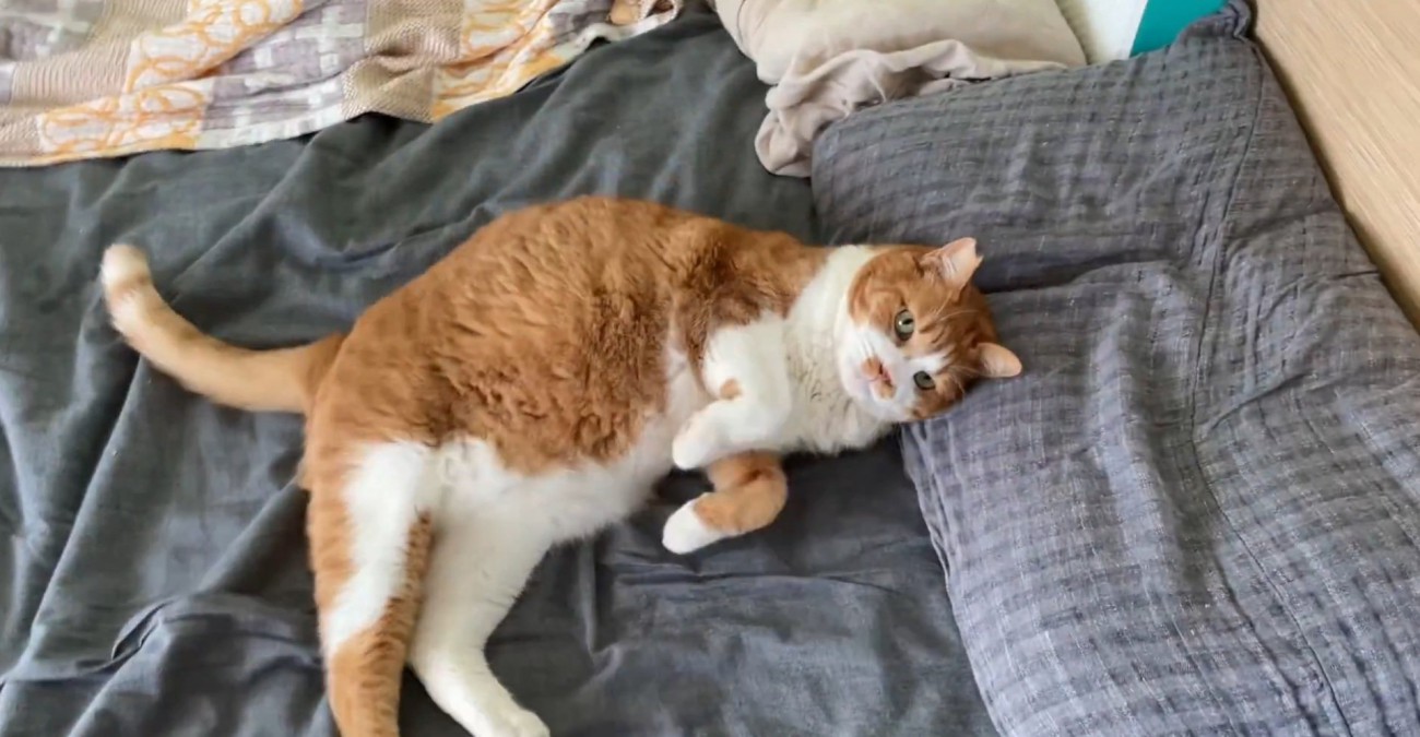 寝転がるマナくん