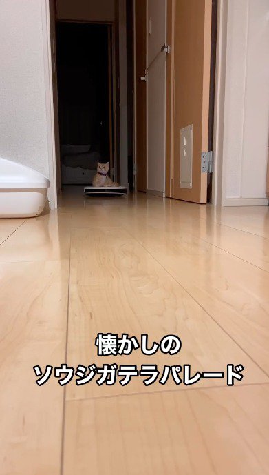 カメラに向かって動くロボット掃除機