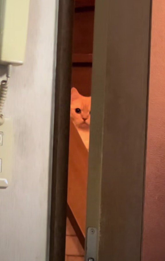 ドアの向こうの縫くん