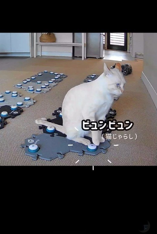 「ビュンビュン」ボタンを押す猫