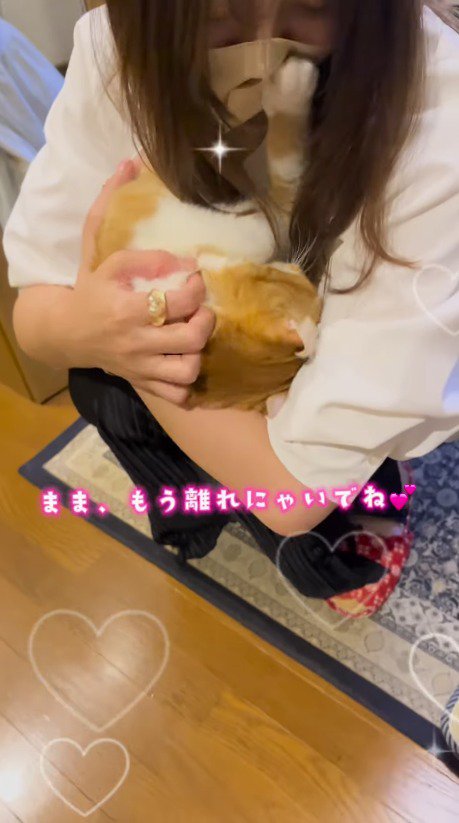 女性の腕に頭をすり寄せる猫