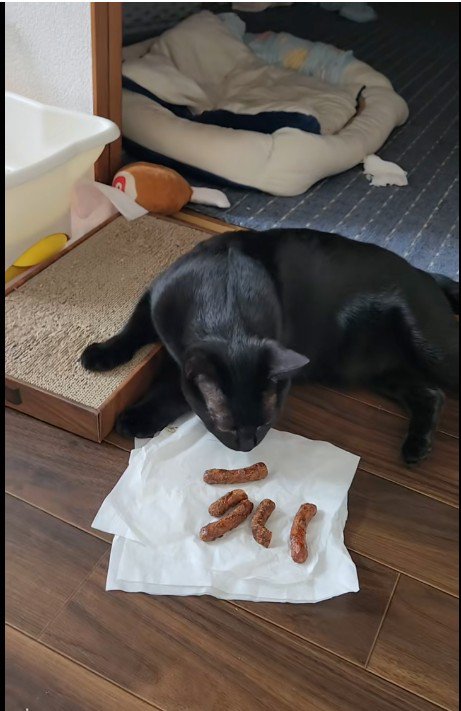 かりんとうの匂いを嗅いでいる猫