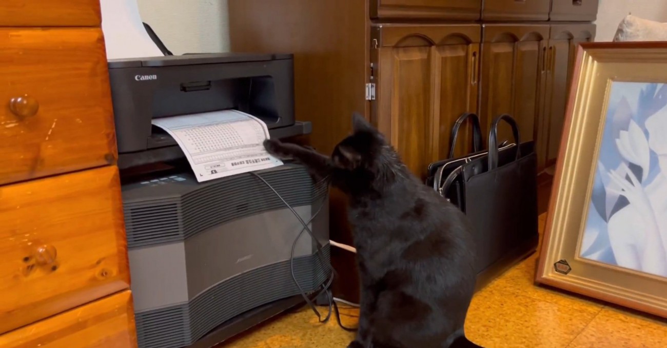 手で紙を触るこねろくくん