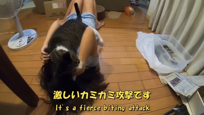 激しいカミカミ攻撃です