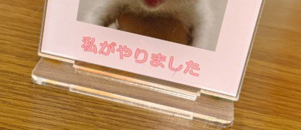「私がやりました」の文字