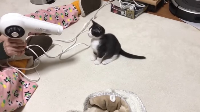 目を瞑っておすわり