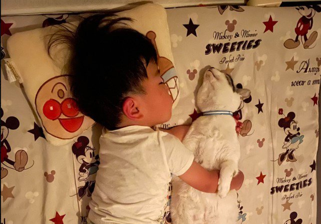 寝ている子どもと猫