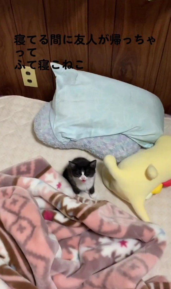 寝起きのねむちゃん