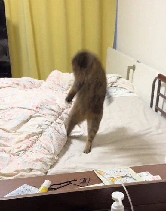 驚くあめちゃん