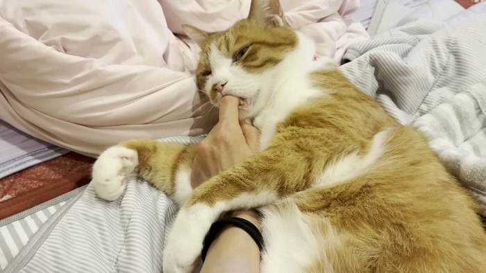 指チュパする大人クラくん