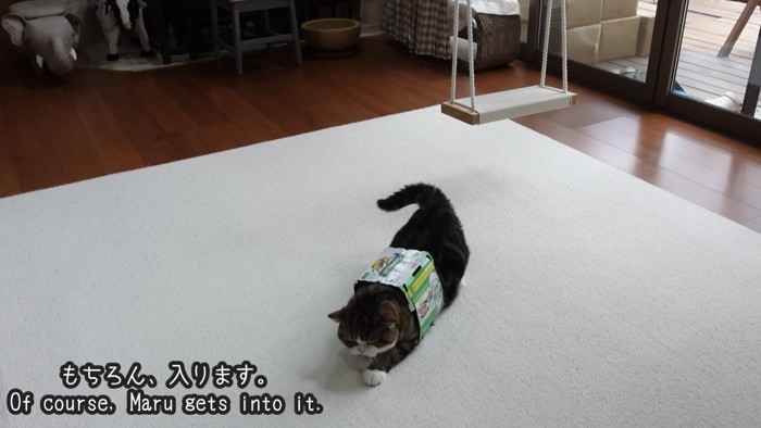 「もちろん、入ります。」のテロップ写真