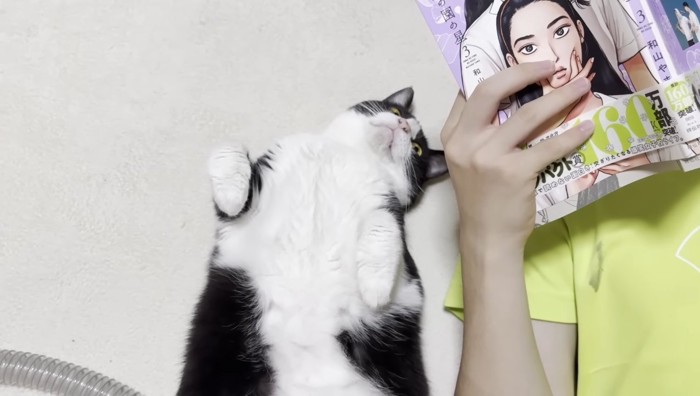 漫画を読むひまわりちゃん