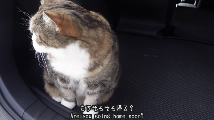 「そろそろ帰る？」のテロップ写真