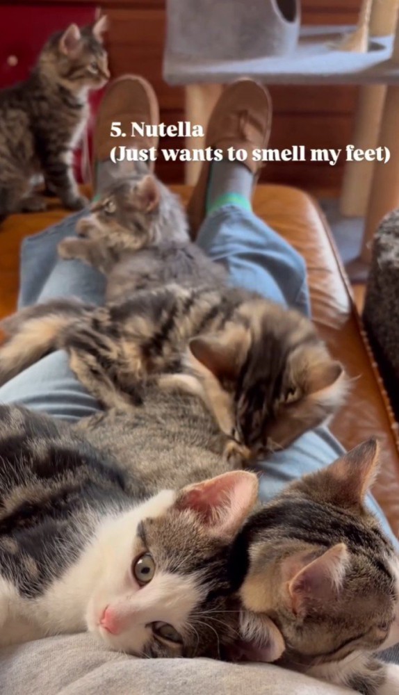 「5.Nutella…」と書かれた写真