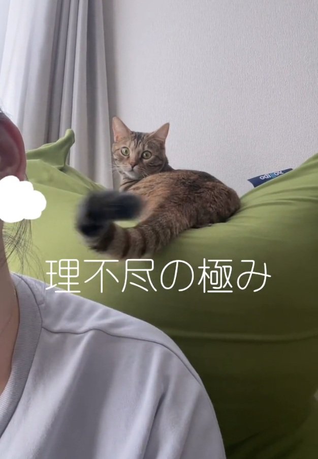 しっぽを振り回すエーデルちゃん