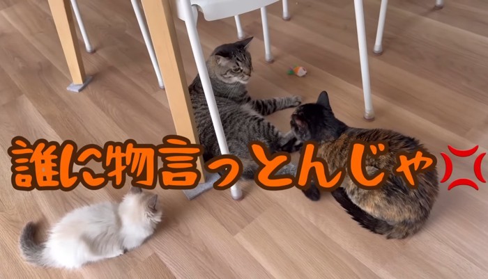 誰に物言っとんじゃ