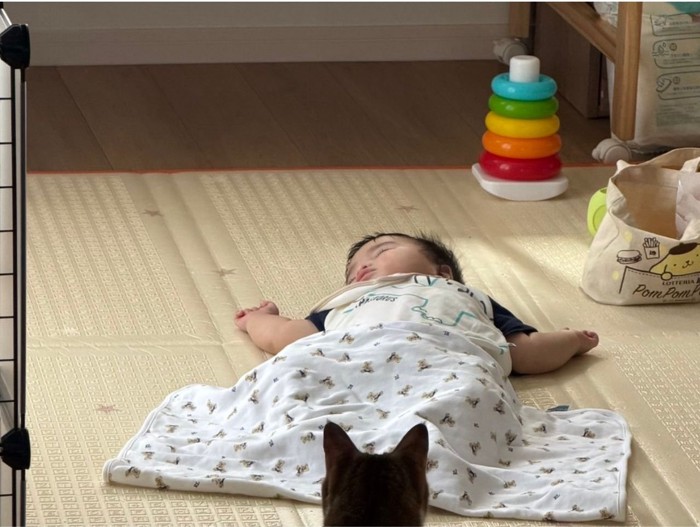 寝ている赤ちゃんの近くにいる猫の耳