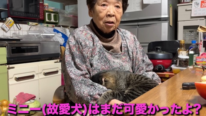 おばあちゃんと猫