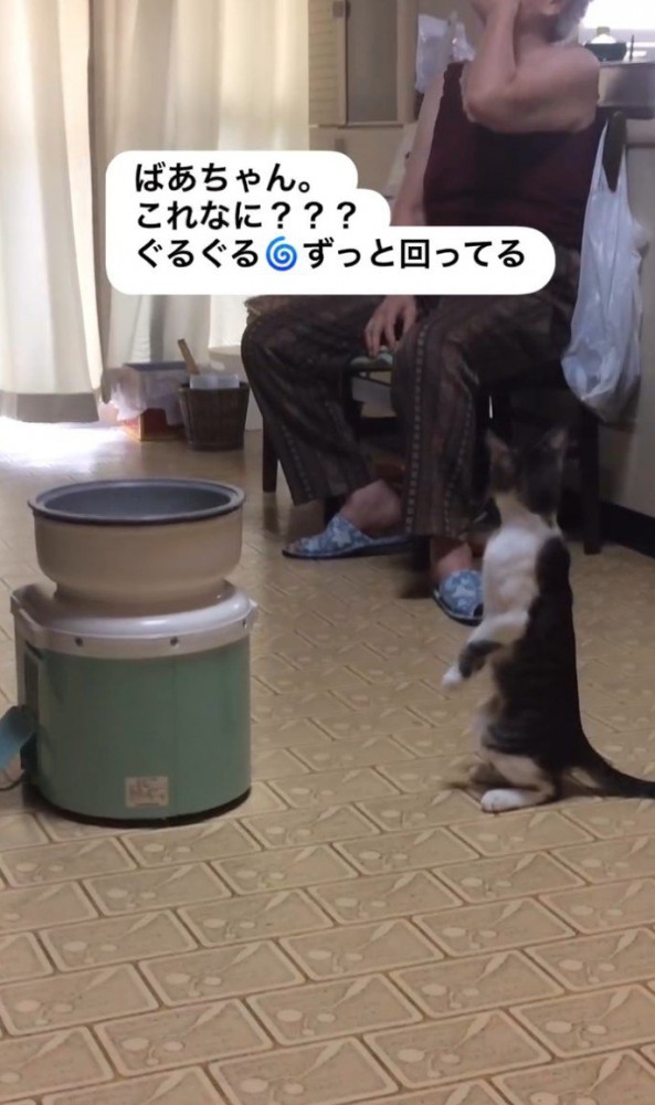 「ばあちゃん…」と書かれた写真