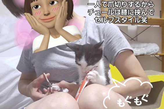 子猫の爪切りをする女性