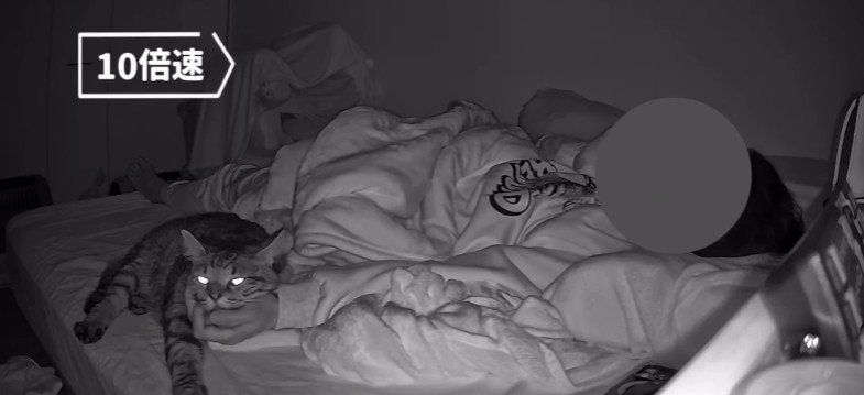 寝ている飼い主と猫