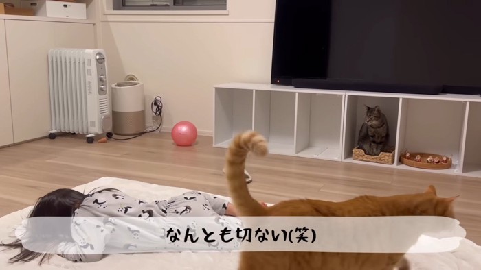 なんとも切ない