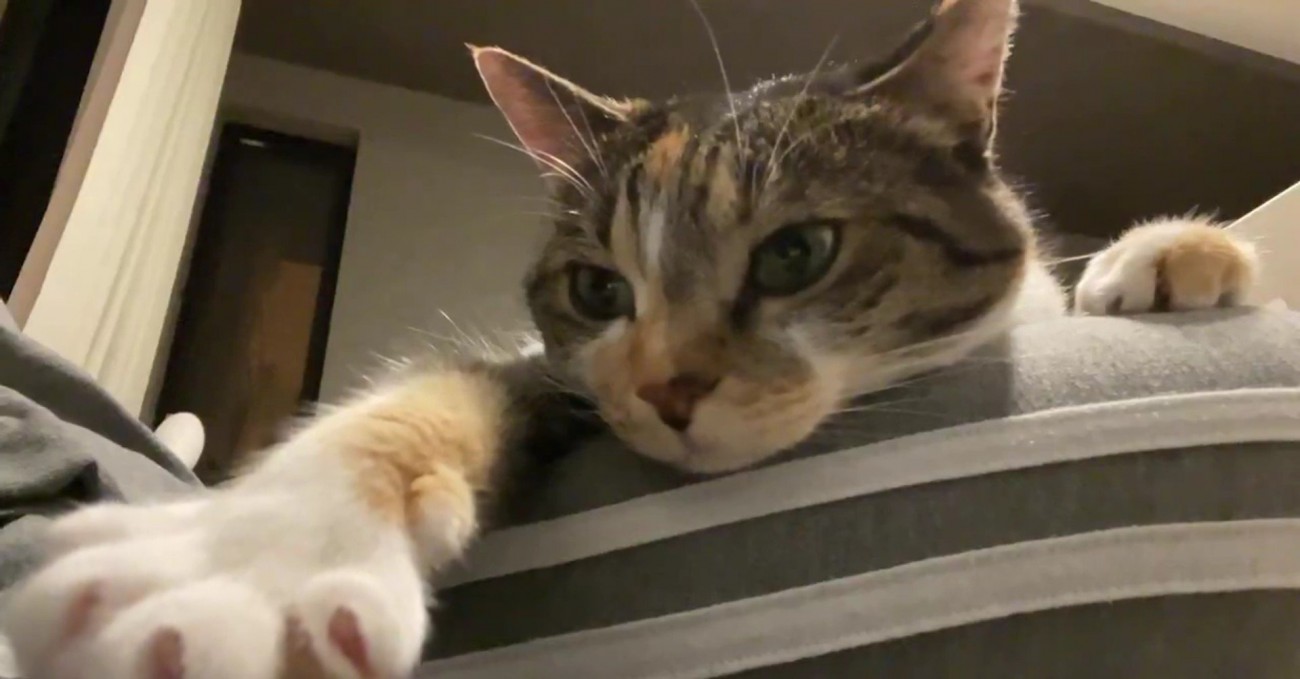 インカメラで撮影中のむーちゃん