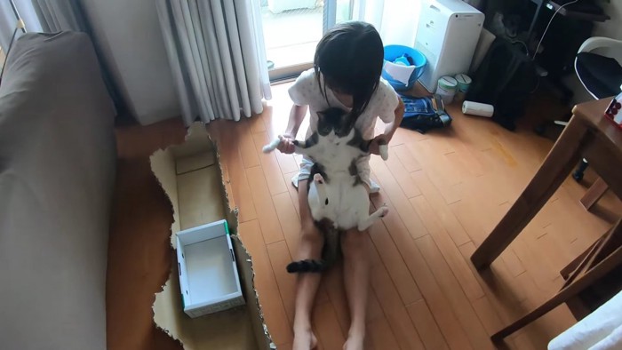女の子の膝にいる猫
